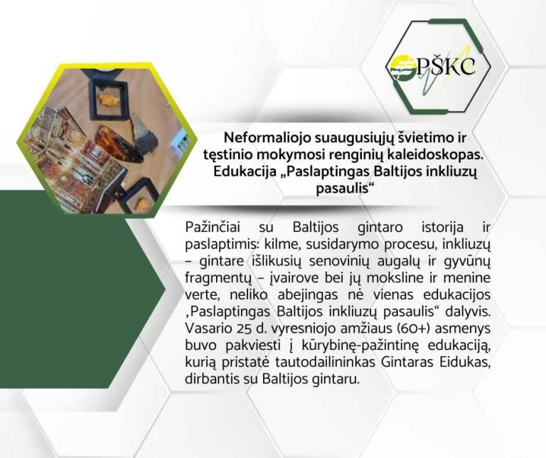 2026 metų PŠKC Neformaliojo suaugusiųjų švietimo ir tęstinio mokymosi renginių kaleidoskopas. Edukacija „Paslaptingas Baltijos inkliuzų pasaulis“